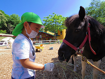 子供たちが馬のお世話に取り組む「馬当番」の園児